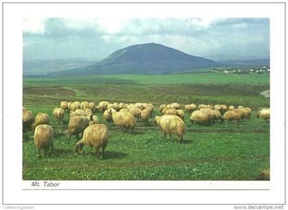 cp, Israël, Mont Thabor