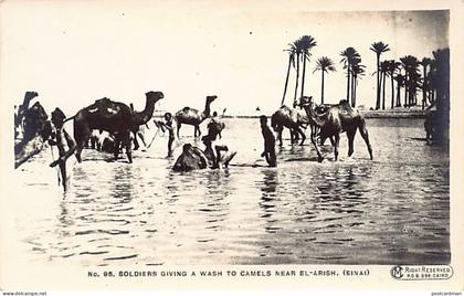 Israel - EL ARISH - Soldiers giving a wash to camels - World War One - REAL PHOTO - Publ. CM 95