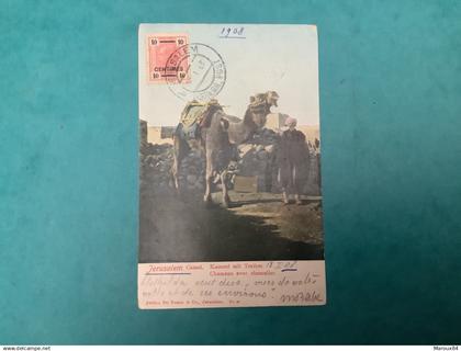 Israël jerusalem .camél chameau avec chamelier