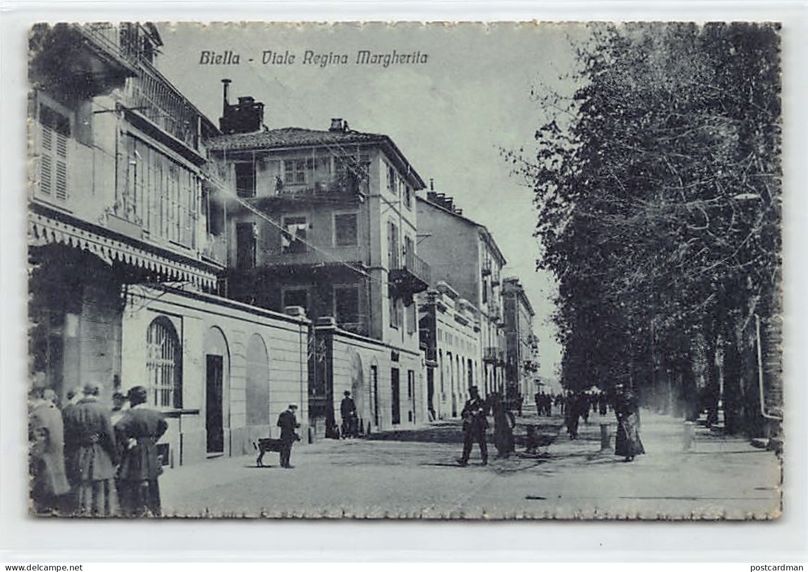 Italia - BIELLA - Viale Regina Margherita