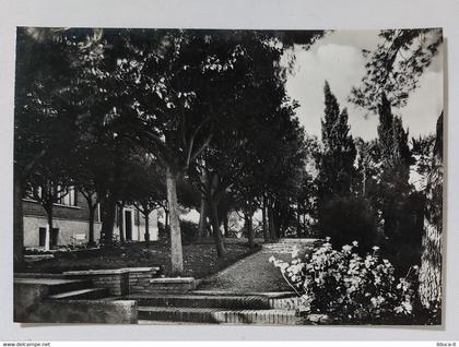 21034 Cartolina - Roma - Villa del Maestro - angolo del parco