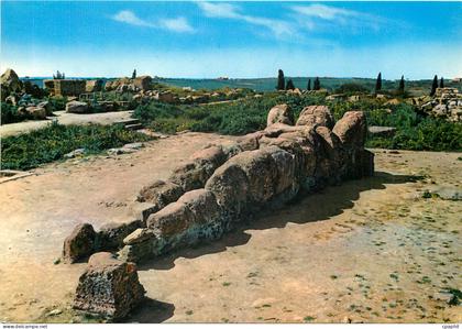 CPM Agrigento Le Geant