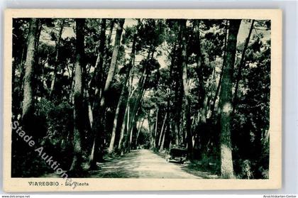 51257839 - Viareggio