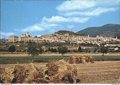 Assisi Umbria Panorama