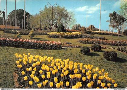 B47674 Fiori del mondo a Torino    italy