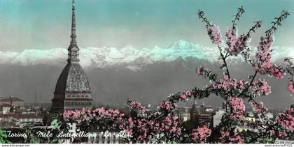 BT2908 Torino La mole antonelliana et le salpes     Italy