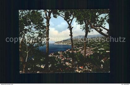 Sorrento Campania Pini