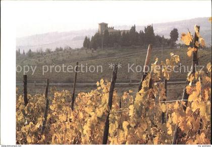 Toscana Panorama