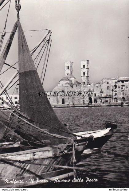 MOLFETTA: Il Porto - ritorno dalla pesca
