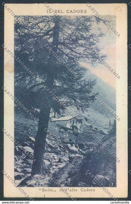 Belluno Cadore cartolina LQ9725