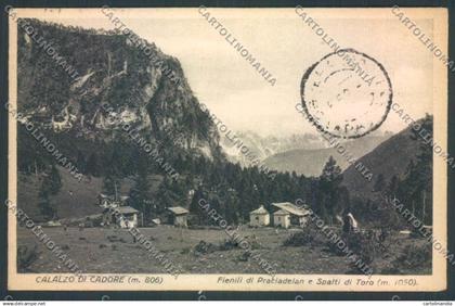 Belluno Calalzo cartolina LQ9917