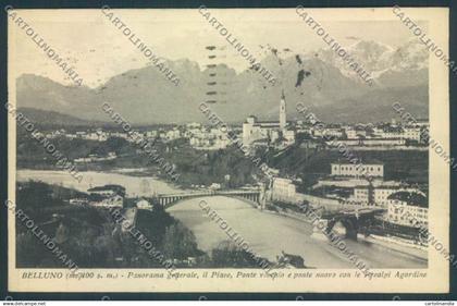 Belluno Città cartolina LQ8786