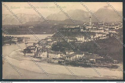 Belluno Città cartolina LQ8846