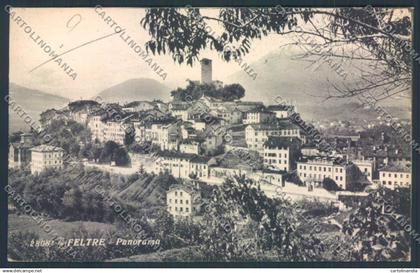 Belluno Feltre cartolina LQ9253