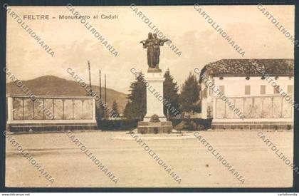 Belluno Feltre cartolina LQ9283