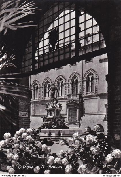 BOLOGNA - Il Nettuno 1967