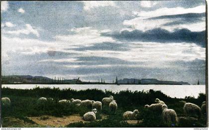 #CAGLIARI (rada)- serie Sardegna n.9