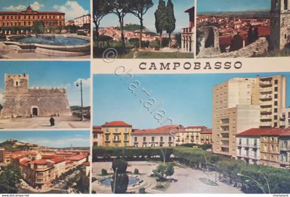 Cartolina - Campobasso - vedute - 1970