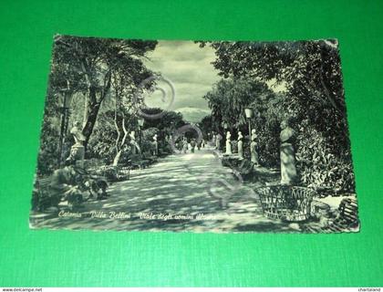 Cartolina Catania - Villa Bellini - Viale degli uomini illustri 1957.