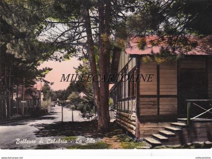 CATANZARO: La Sila    1955