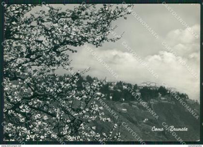 Como Brunate Lago di Como Foto FG cartolina KB3113