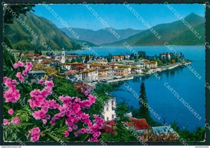 Como Menaggio Lago di Como Foto FG cartolina KB3699