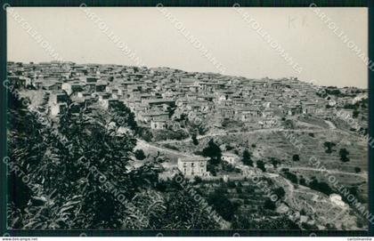Crotone Savelli Foto cartolina KF2646