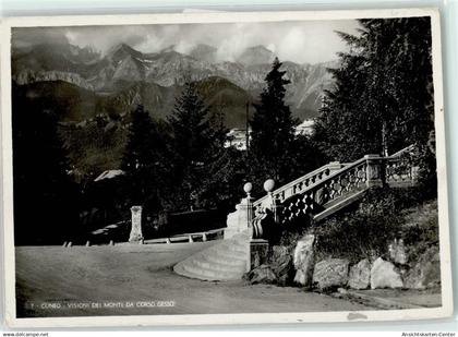 11033537 - Cuneo