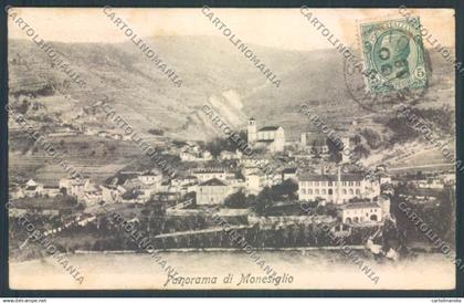 Cuneo Monesiglio cartolina ZB2217