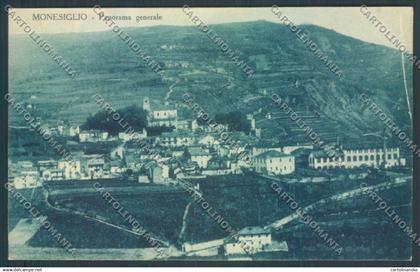 Cuneo Monesiglio cartolina ZB2218