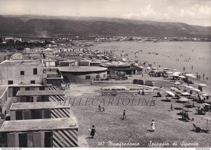 MANFREDONIA: Spiaggia di Siponto    1960