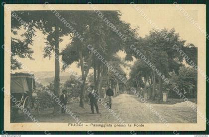 Frosinone Fiuggi cartolina KV3305