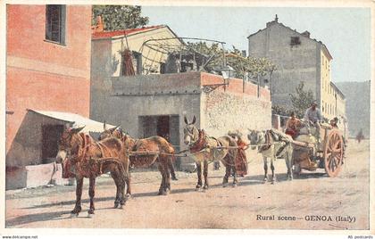B362 Italy Ruralo Scene Genoa Genova Donkey cart vintage postcard