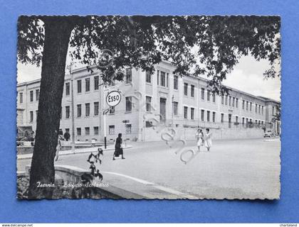 Cartolina Isernia - Edificio Scolastico - 1955 ca.