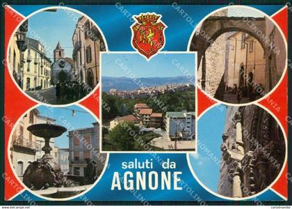 Isernia Agnone Saluti da Foto FG cartolina ZKM7535