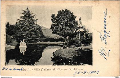 CPA PEGLI Villa Pallavicini Cipressi del Libano ITALY (803369)