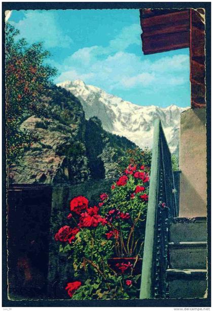 MONZA - Italia Italy Italie Italien Italie 55287