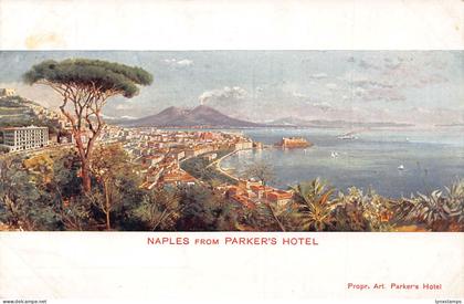 Italy Napoli Naples from Parker's Hotel vintage postcard