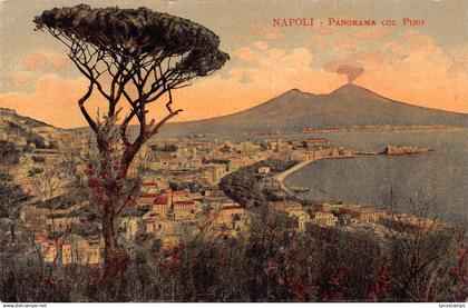A746 Italy Napoli Naples Panorama col Pino vintage postcard