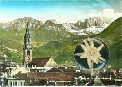 13815269 - Bozen Bolzano