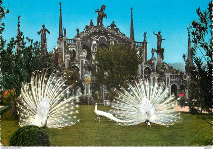 CPM Lac majeur belle ile jardin avec les paons
