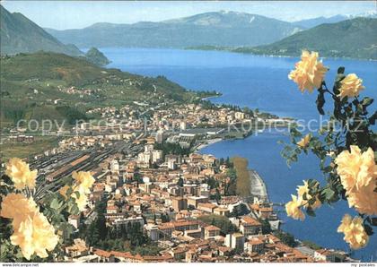 Luino