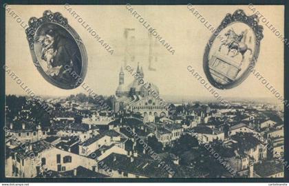 Padova Città Antonio da Padova cartolina ZQ2167