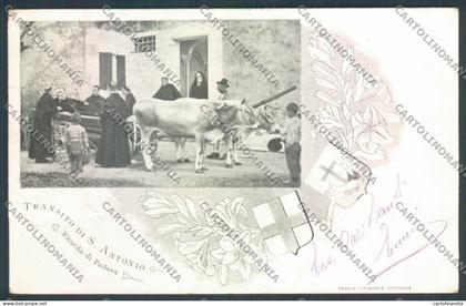 Padova Città Antonio da Padova cartolina ZQ2436