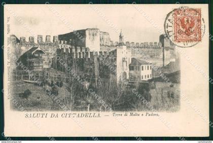 Padova Cittadella Saluti da Torre Malta Padova cartolina MX3077