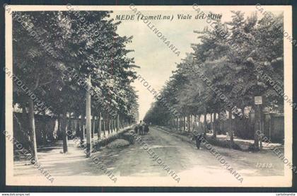 Pavia Mede cartolina LQ5247