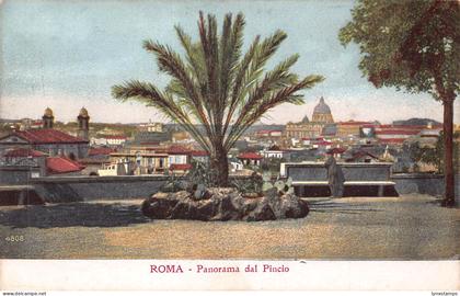 A976 Italy Rome Roma Panorama dal Pincio vintage postcard