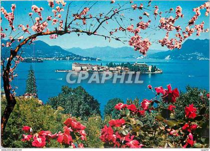 CPM Lac Majeur Isola Bella
