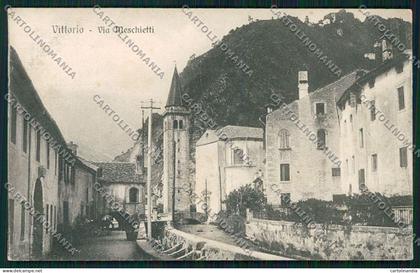 Treviso Vittorio Veneto cartolina QK2597