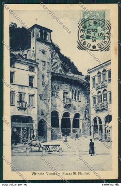 Treviso Vittorio Veneto cartolina QK4642